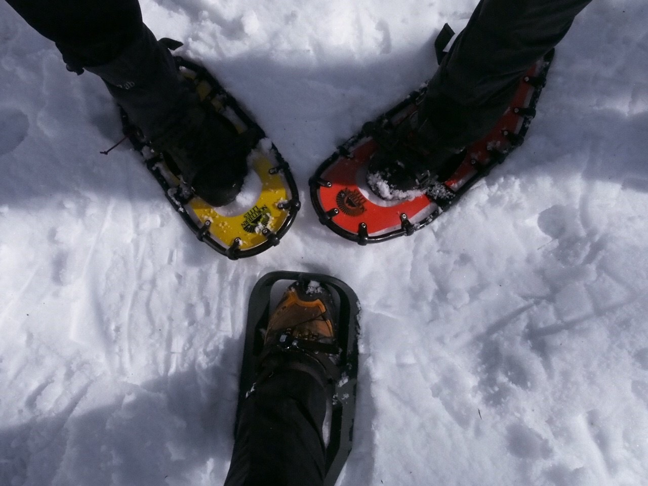e0329049_23392450.jpeg