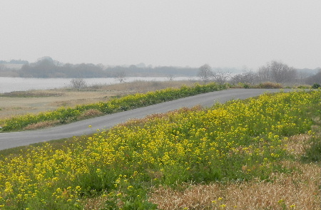 e0172950_9584840.jpg
