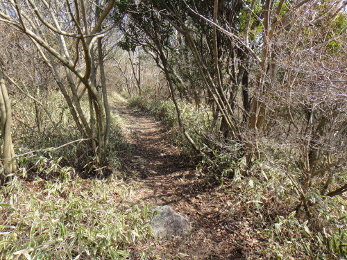 c0179351_16195851.jpg