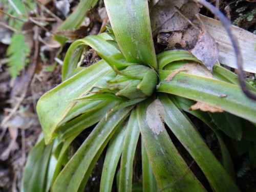 c0179351_16231185.jpg