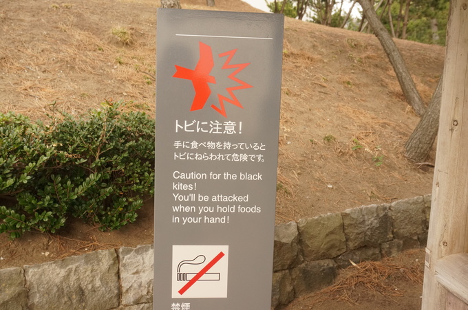 f0257756_1585134.jpg