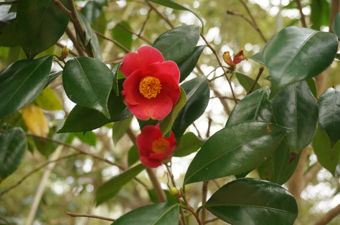 f0257756_159734.jpg