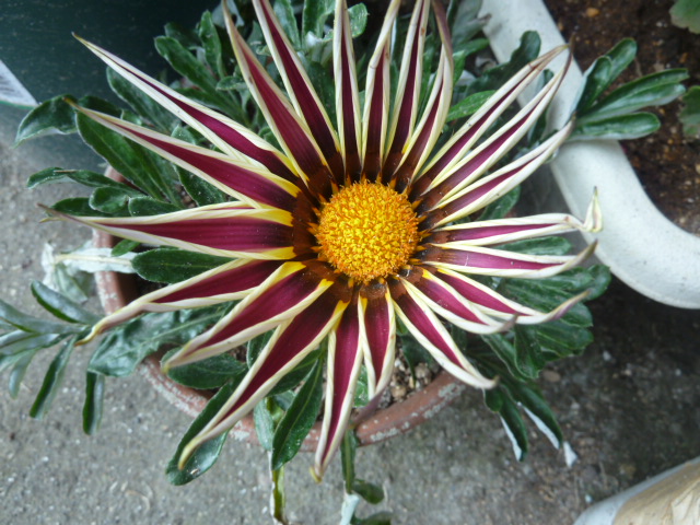 e0278968_2121787.jpg