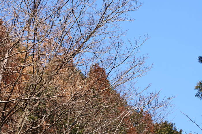e0307372_20461129.jpg