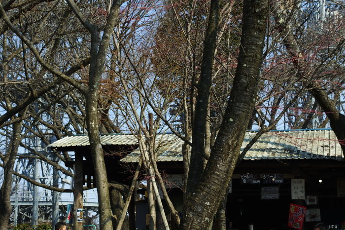 e0307372_20490716.jpg