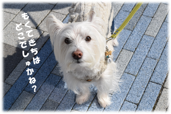 b0242873_10080217.png