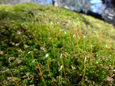 d0182075_17404790.jpg