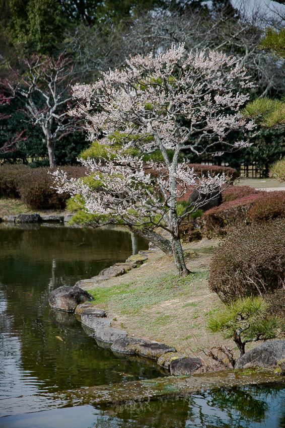 a0301676_17110924.jpg