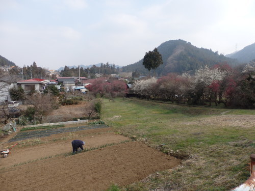 b0334084_15462752.jpg