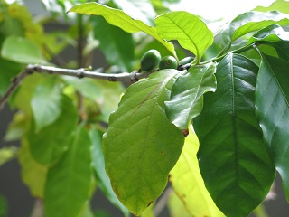 e0130185_1043515.jpg