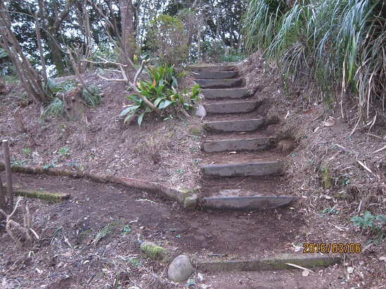 f0106692_18405919.jpg