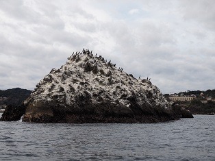 f0164003_20362264.jpg
