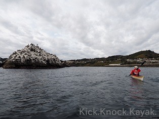 f0164003_20364244.jpg