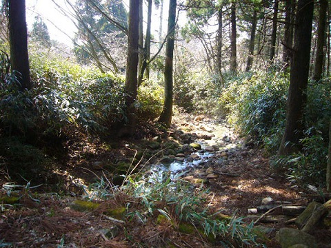 a0071805_17381858.jpg