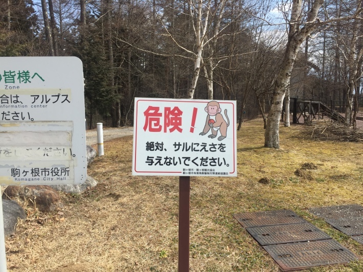 c0087023_20154926.jpg