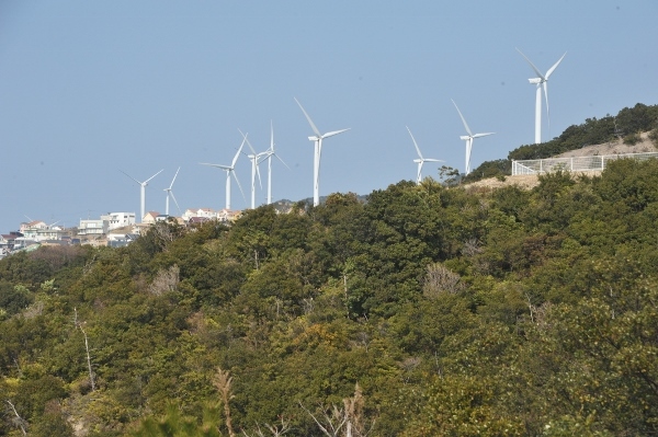 f0143123_09491877.jpg