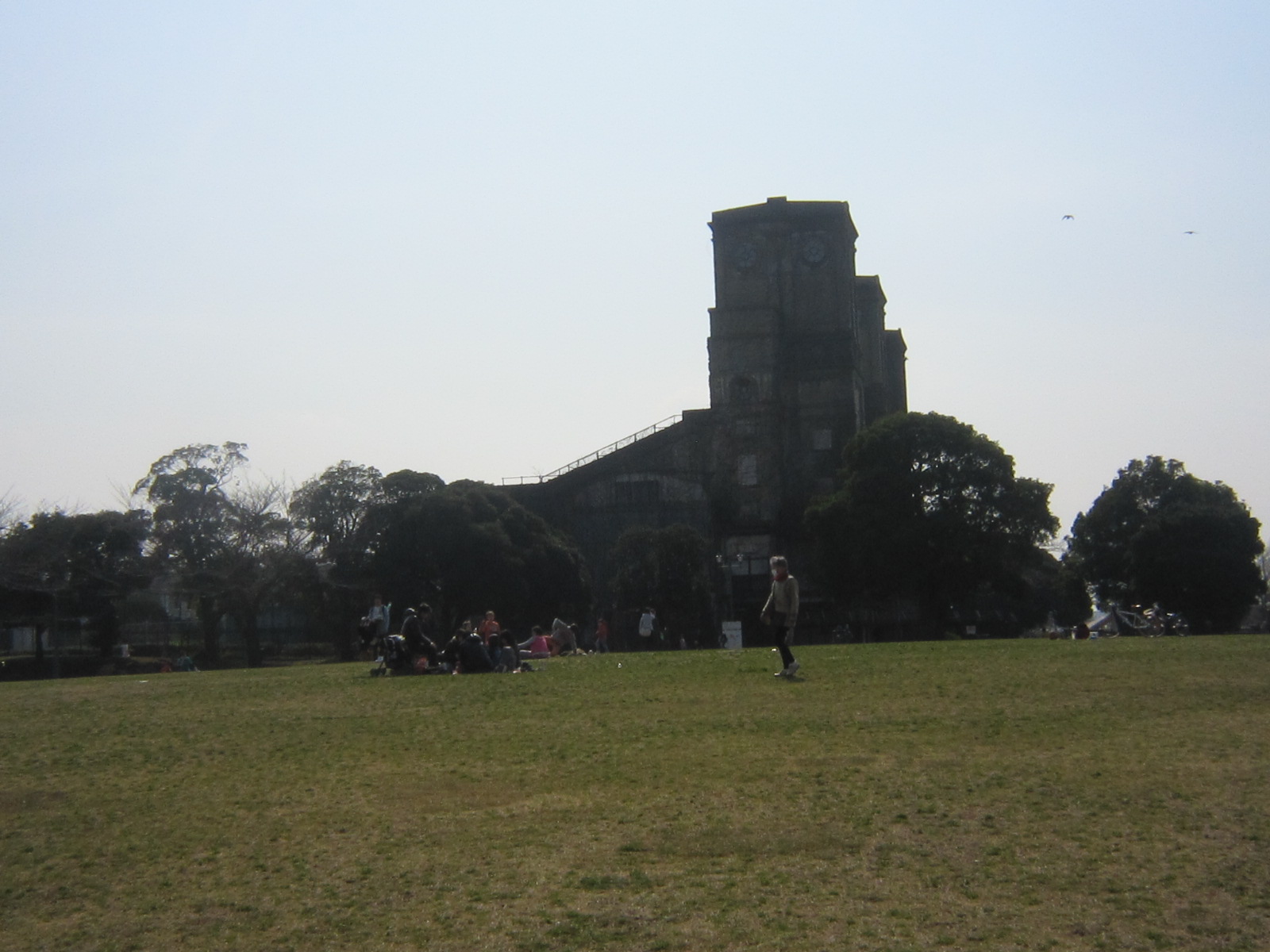 d0162225_23103563.jpg