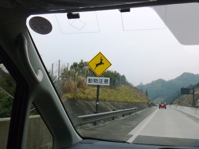 d0137326_14375419.jpg