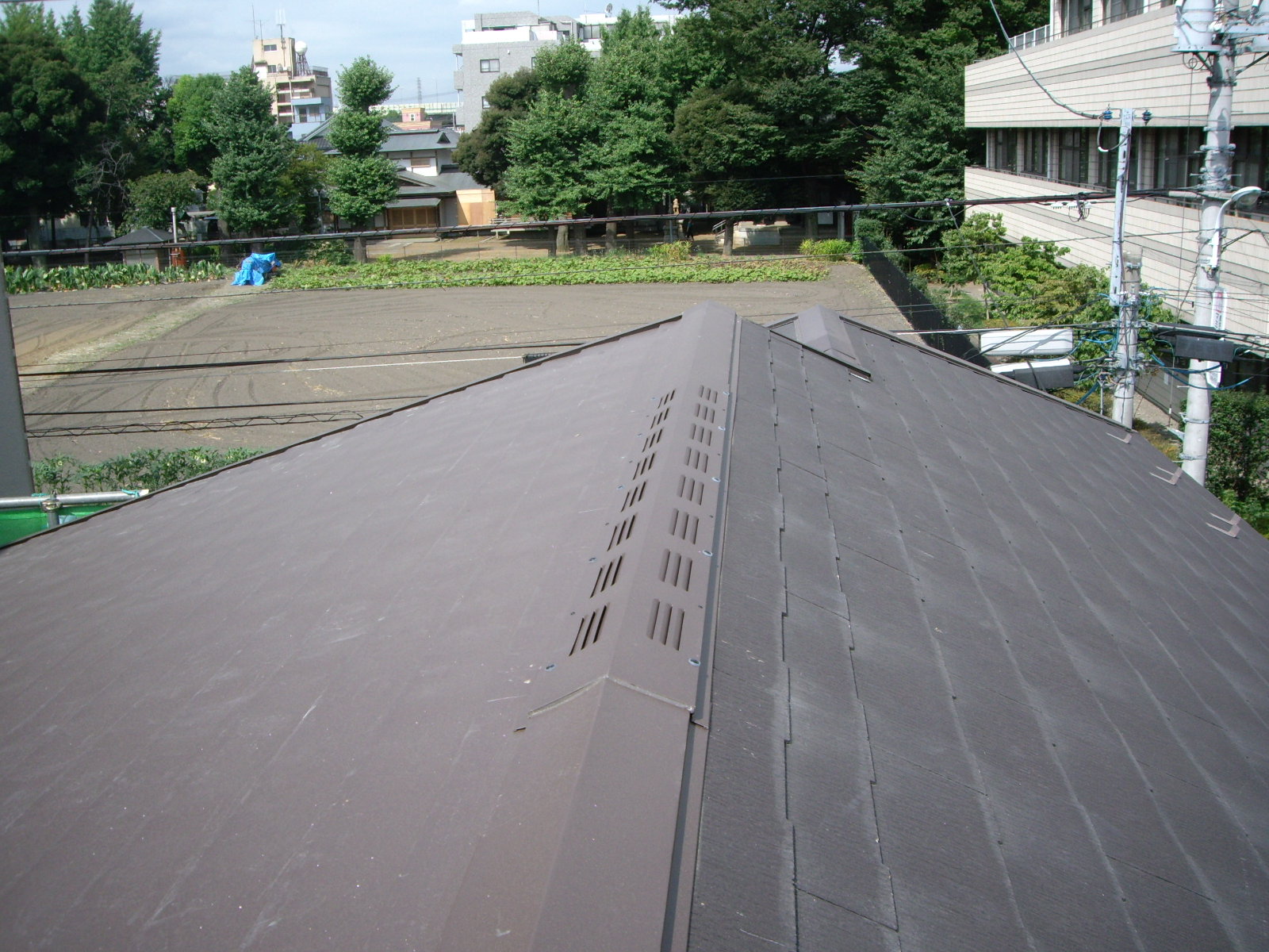 a0214329_76022.jpg