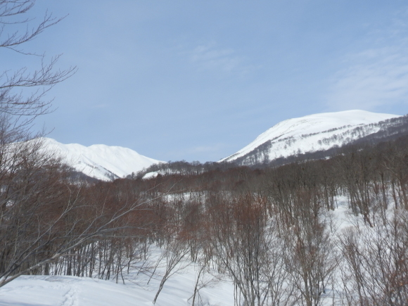 f0118332_21531936.jpg