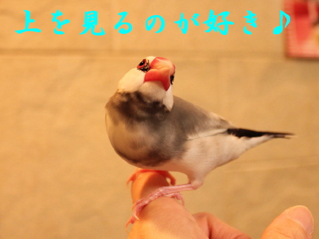 c0365734_22540735.jpg