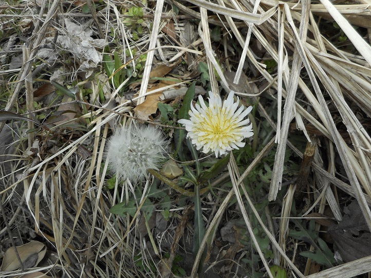 a0310035_18173.jpg