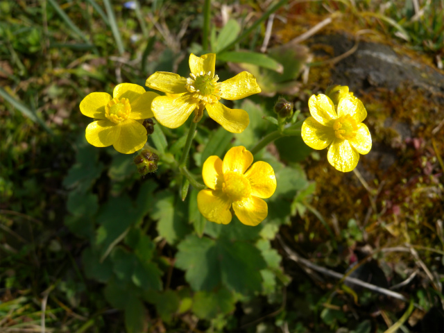 e0272335_181641.jpg