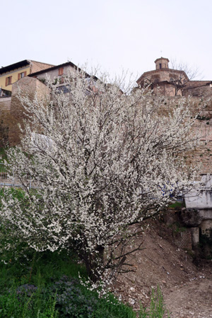 f0234936_7514260.jpg