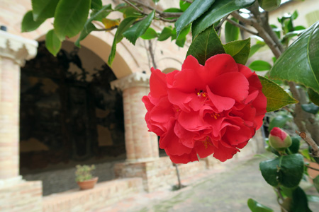 f0234936_7525689.jpg