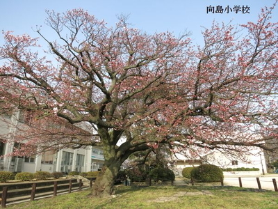 c0332548_18555113.jpg