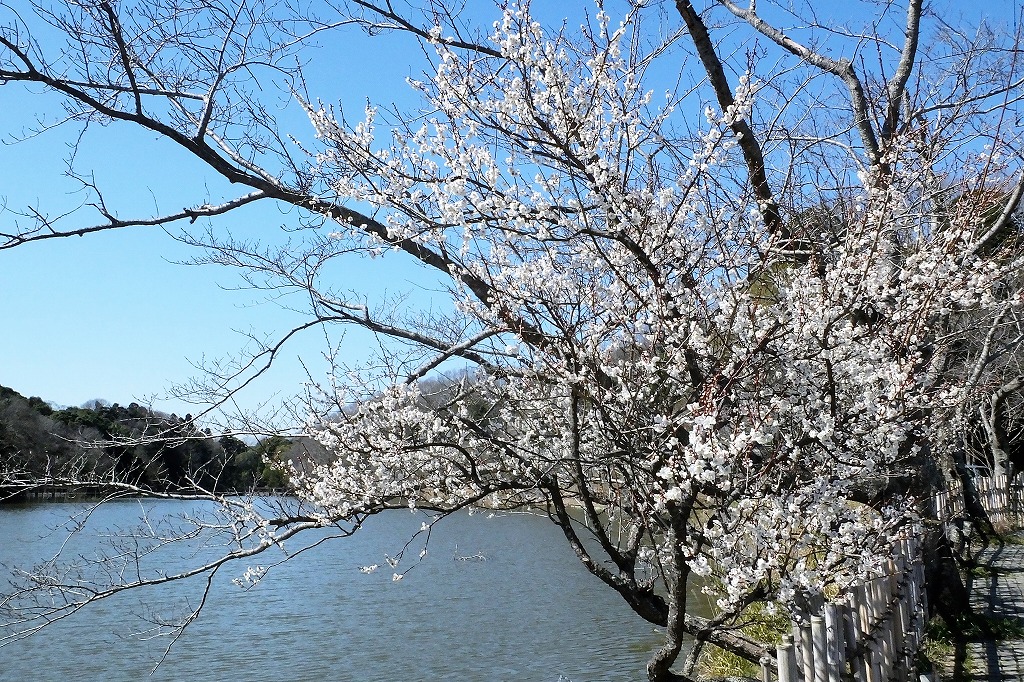 b0236251_11105515.jpg