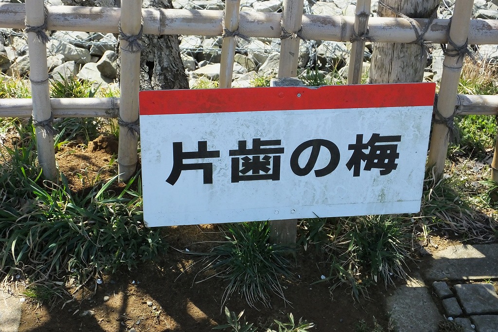 b0236251_11114423.jpg