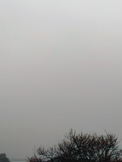 c0039153_23313275.jpg