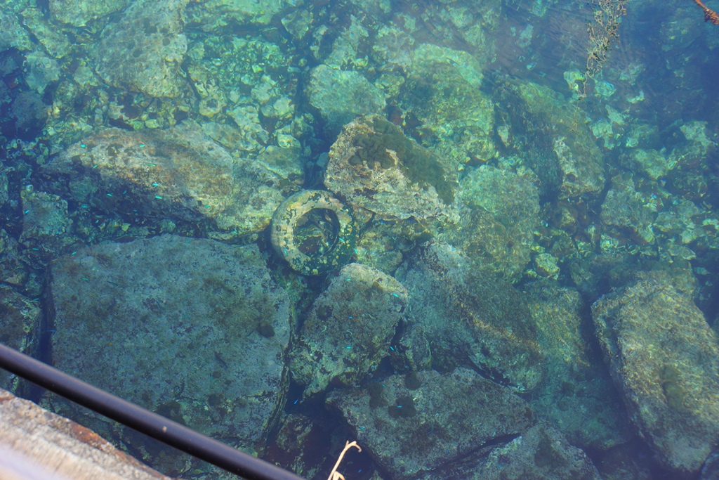 e0223456_929694.jpg