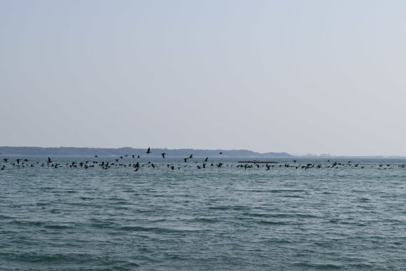 b0242873_18564705.jpg