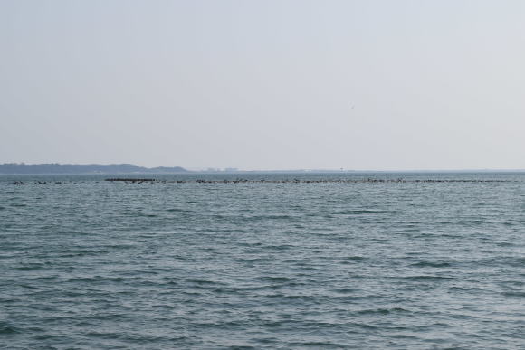 b0242873_18573797.jpg