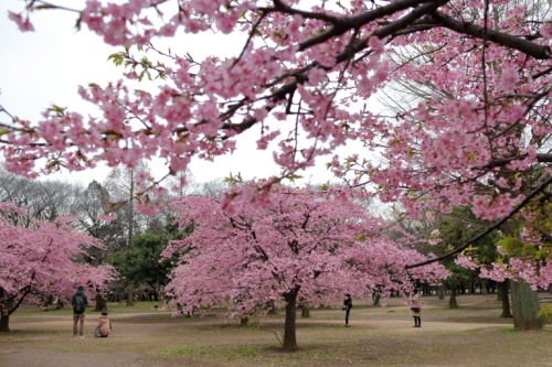 c0210275_22054221.jpg