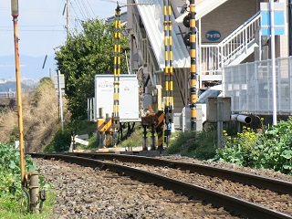 e0130185_11224773.jpg