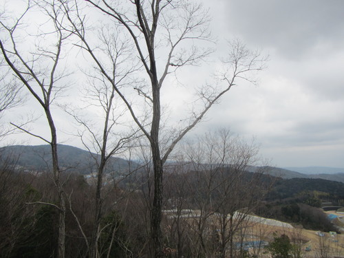 a0251786_21221273.jpg