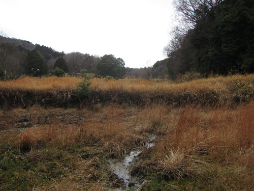 a0251786_214945.jpg