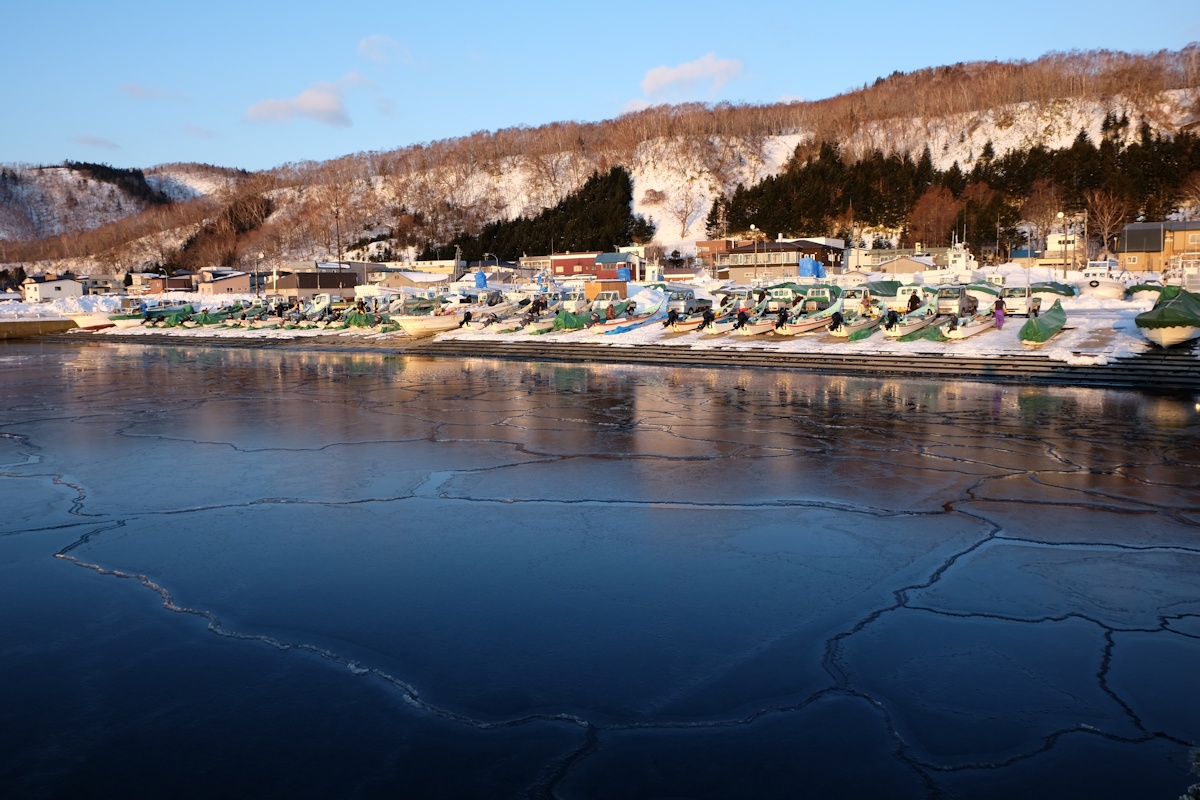 e0051186_20143991.jpg