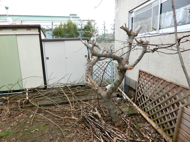 b0091187_22383333.jpg