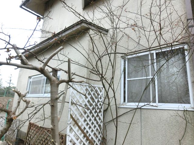 b0091187_22385088.jpg
