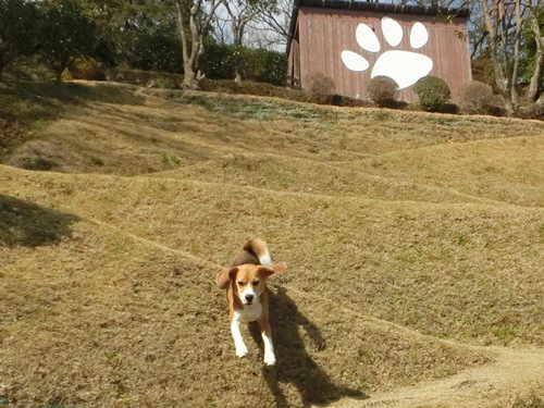 a0319693_8445486.jpg