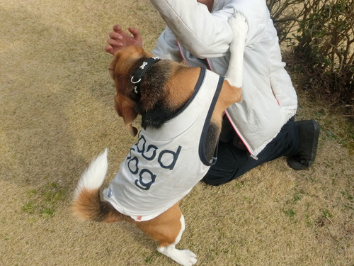 a0319693_973910.jpg