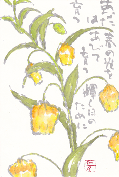 a0030594_2346219.gif