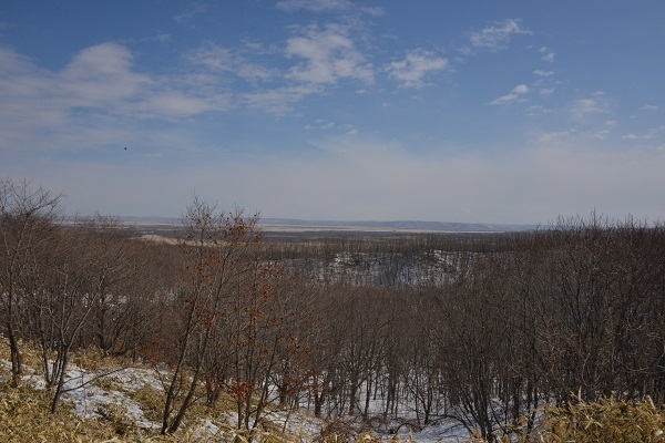 f0268294_21321085.jpg