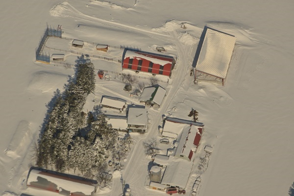 f0268294_23084602.jpg
