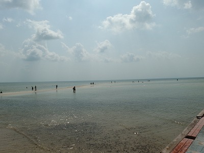 d0074596_23414985.jpg