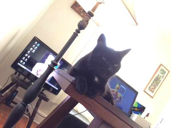d0130296_19410947.jpeg